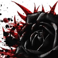 Black Rose Background, Fantastic Black Rose Background, #9446