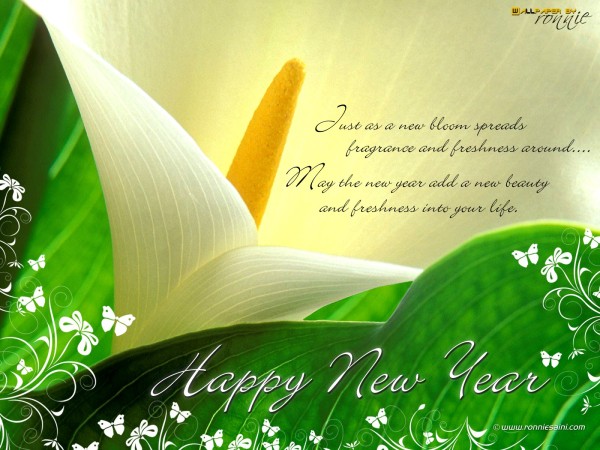 Greetings for Happy New Year, Art New Year Greeting Ecards, #13757