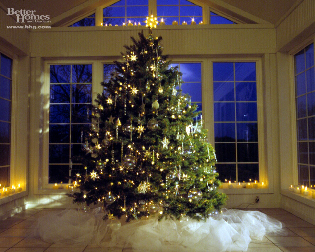 Christmas Tree Wallpapers, Wonderful Christmas Tree Wallpapers Photo Image, #13984