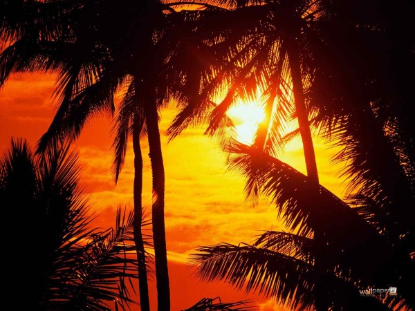 Hawaii Beach Sunset Wallpaper, Widescreen Hawaii Beach Sunset Wallpaper ...