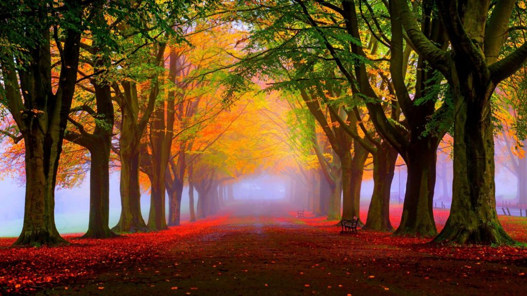 Autumn Wallpapers 4K, Lovely Weather Autumn Wallpapers 4K, #34480