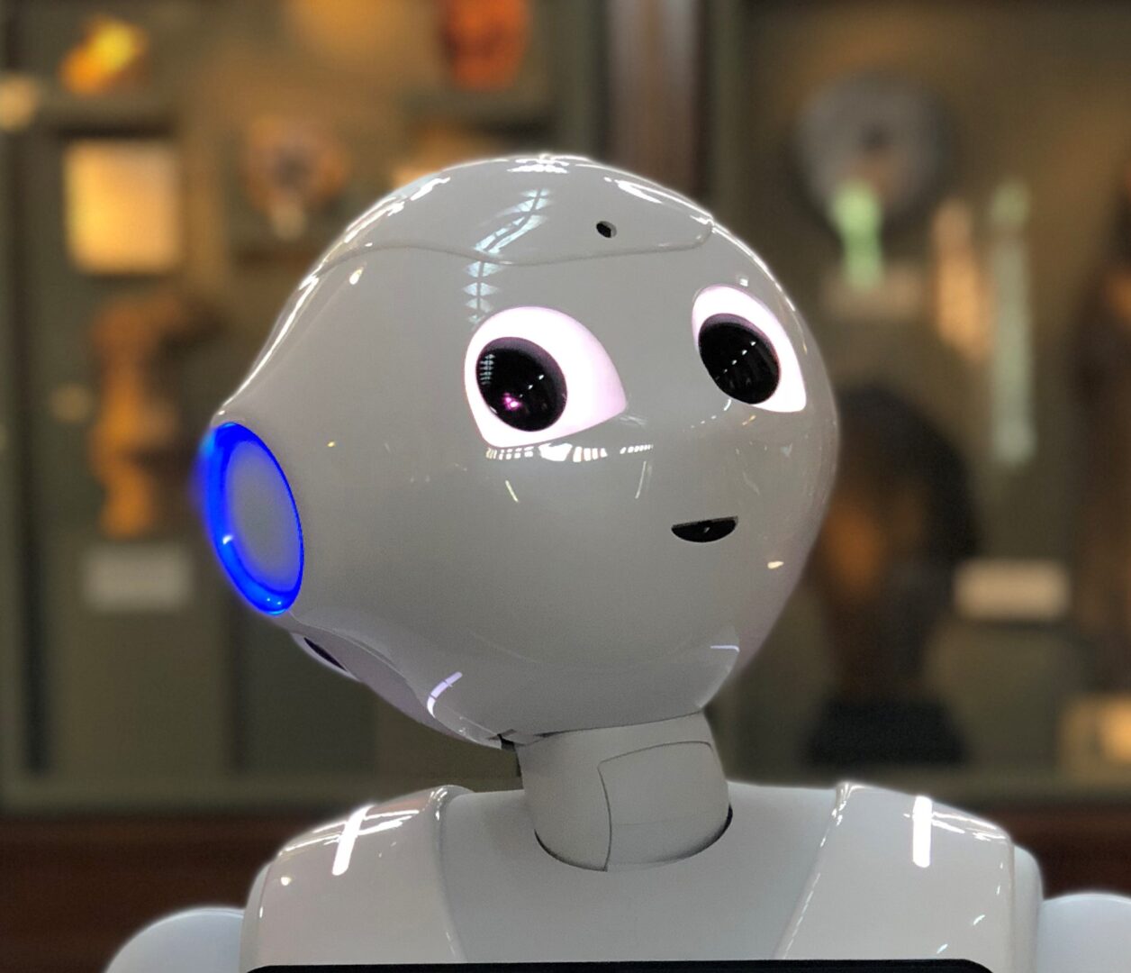 Pepper the Robot, Great Pepper The Robot Image, #39379